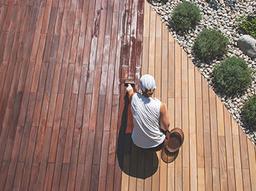 Blog Related Photo
